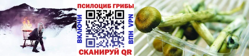 дарк нет наркотические препараты  Кинель  Псилоцибиновые грибы мицелий  закладки 